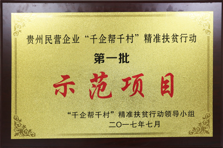 2017年7月，贵州中伟集团获得“千企第一批示范项目”称号