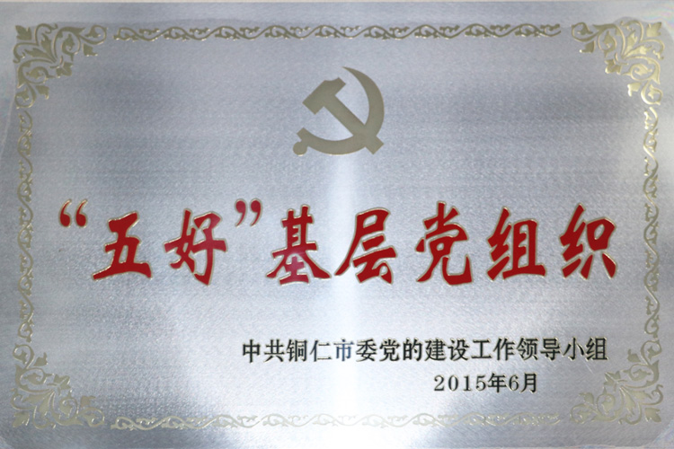 “五好”基层党组织（2015年）